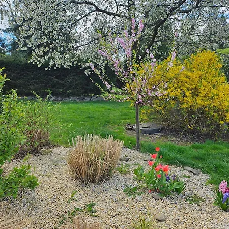 乡村民宿 Snezenka