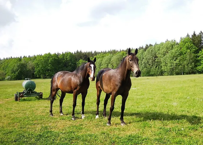Snezenka Landsted *